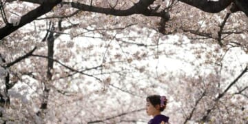 When Language Barriers Disappear – PJ Media