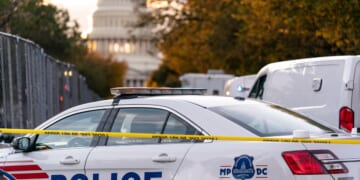Three D.C. police higher-ups set to be fired over crime data manipulation: report
